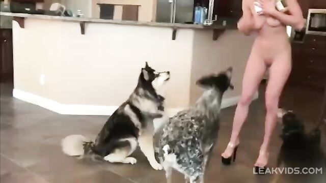 My slutty mom gives the dogs peanut butter naked - 3 image